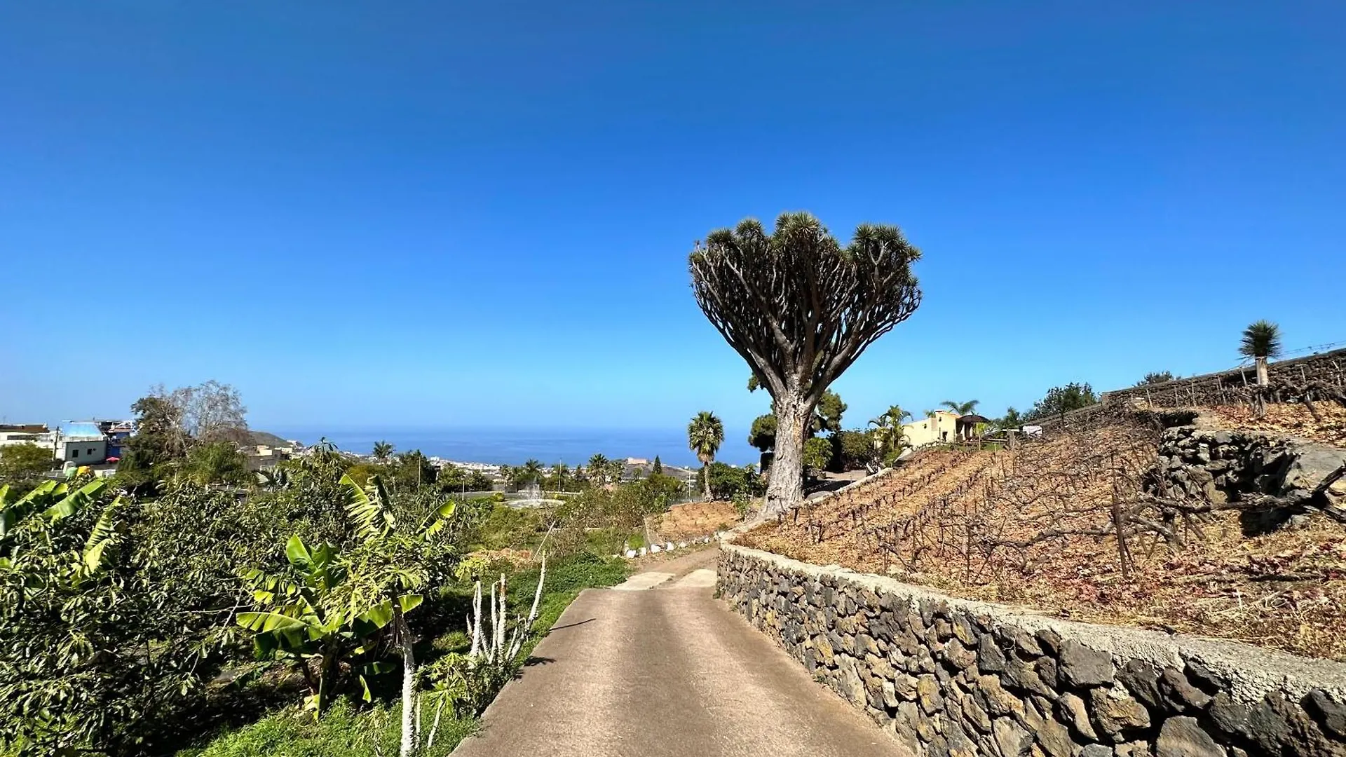 Finca Oscar Burchard location